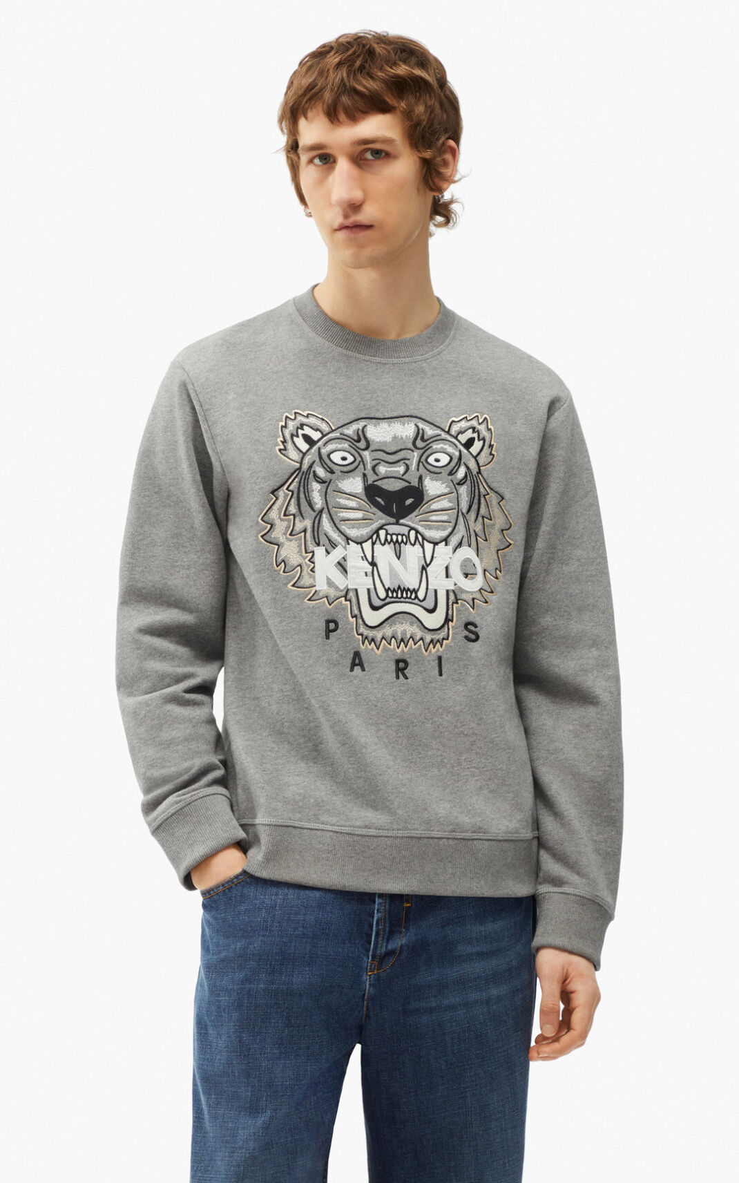 Sweat Kenzo Tiger Homme Grise | HIQJ-81792